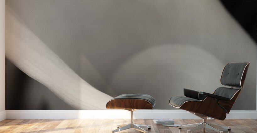 Delicate Beauty Wall Murals