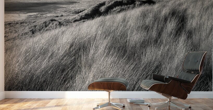 Rattray Head Dunes Wall Murals