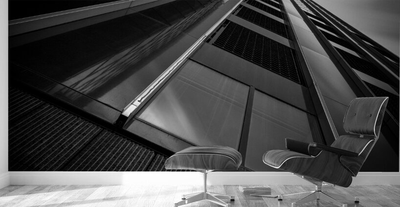 De Maastoren Wall Murals