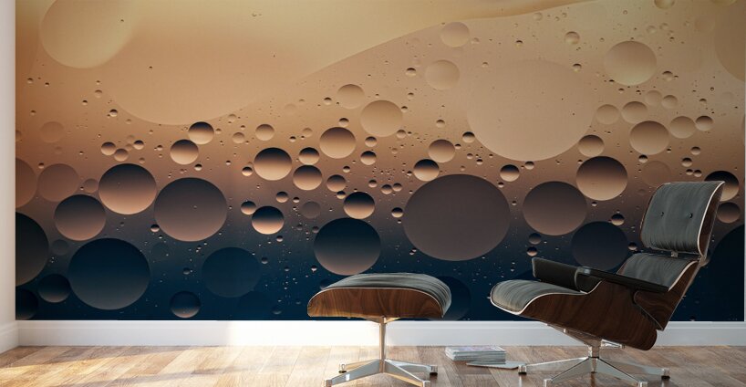 Bubbles II Wall Murals