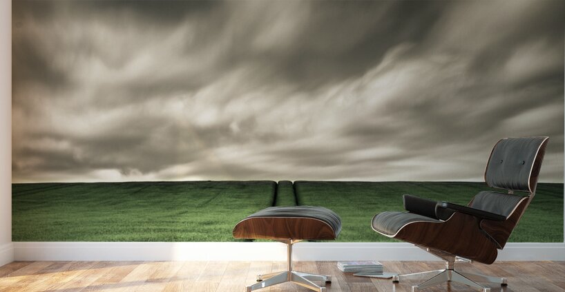 Field Tracks Wall Murals