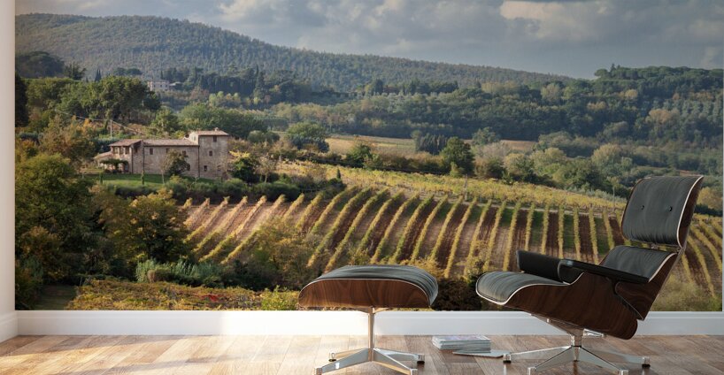 Tuscan Valley Wall Murals