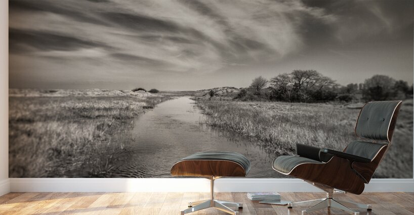 White Swan Wall Murals