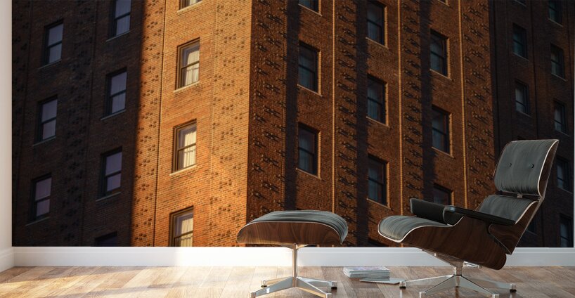 Last Light on the Allerton Hotel Wall Murals