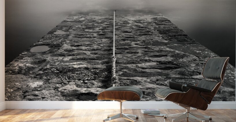 Ring and Rope Wall Murals