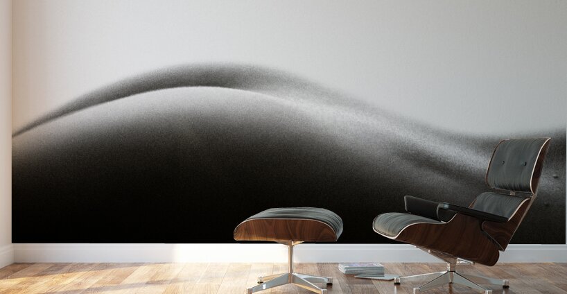Nude Study No2 Wall Murals