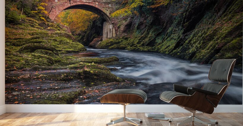 Autumn at Gannochy Bridge Wall Murals