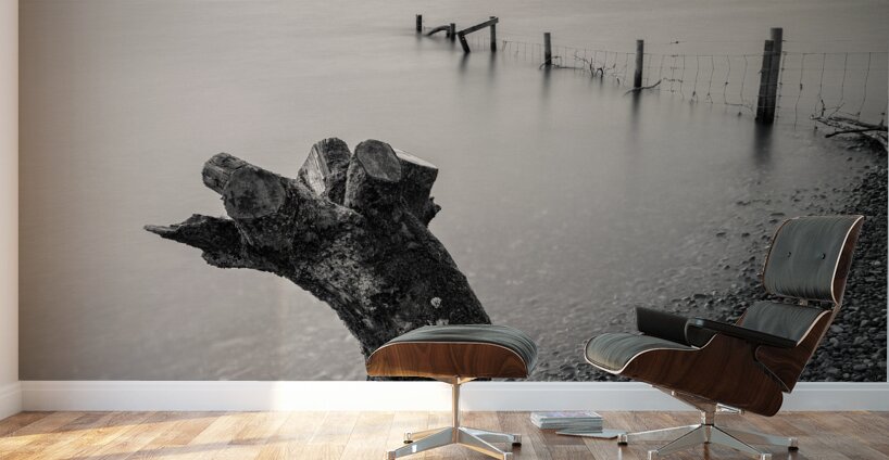 Limbless on Loch Rannoch Wall Murals