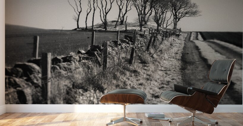 Fields End Grove Wall Murals