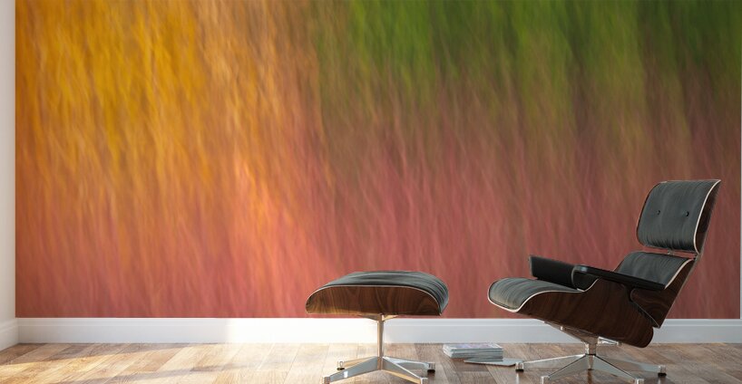 Autumn Pastels Wall Murals