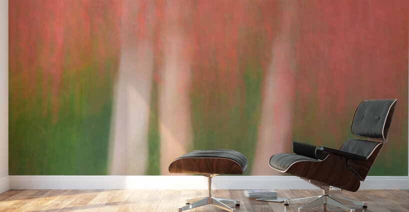 Maple in Motion Wall Murals