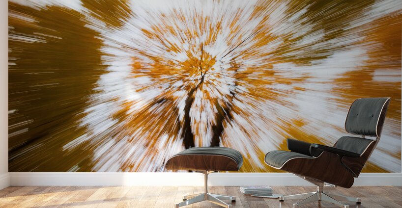 Autumn Explosion Wall Murals