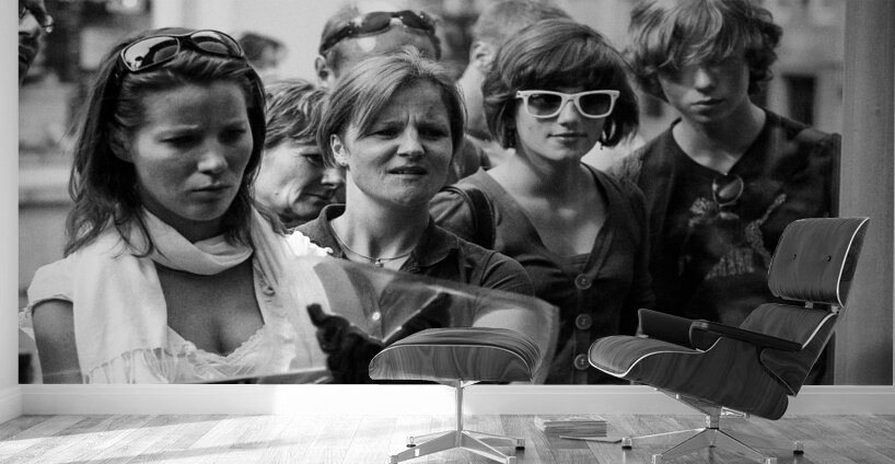 Curiosity Wall Murals