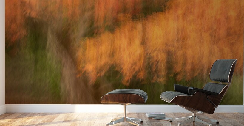 Autumn in Motion Wall Murals
