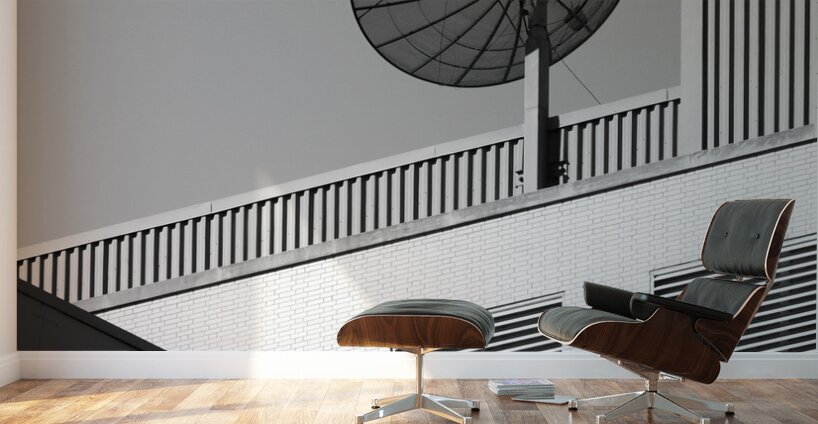 Broken Reception Wall Murals