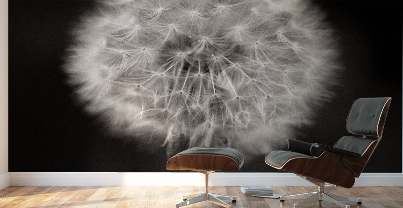 Woodland Study 5 Wall Murals