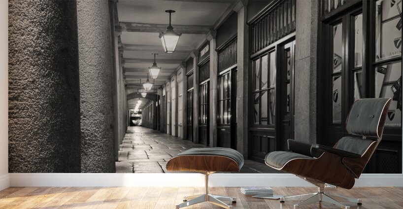 Covent Garden Passage Wall Murals