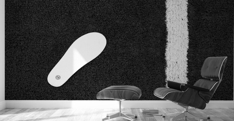 Size 13 on Court Wall Murals