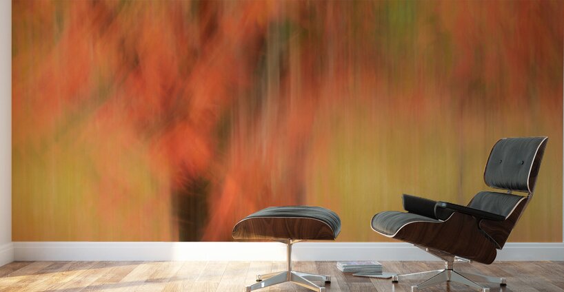 Autumn Mirage Wall Murals