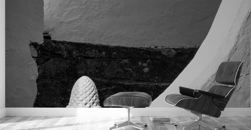 Corn Cap Wall Murals