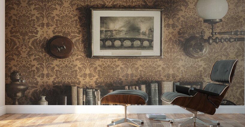 Vintage Bookshelf Wall Murals