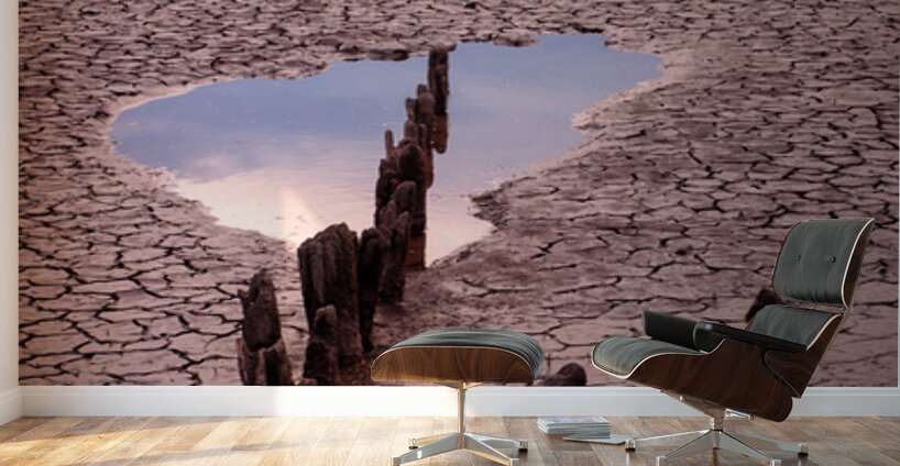 Snettisham Salt Marsh Wall Murals