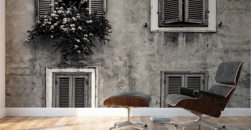 Four Windows Wall Murals