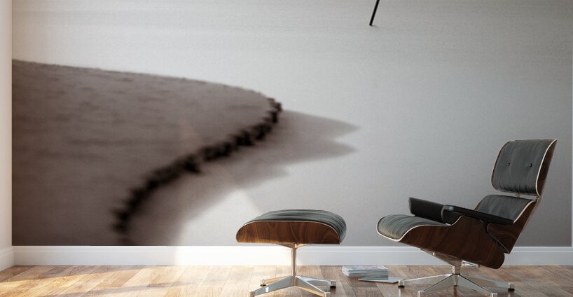 Kijkduin Beach Wall Murals