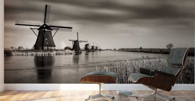 Kinderdijk Wall Murals