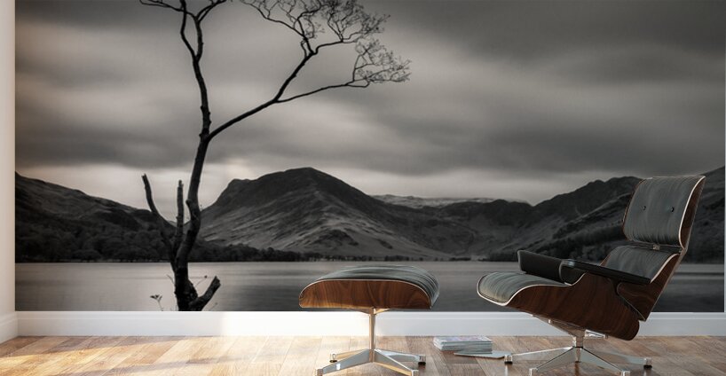 Buttermere Tree Wall Murals