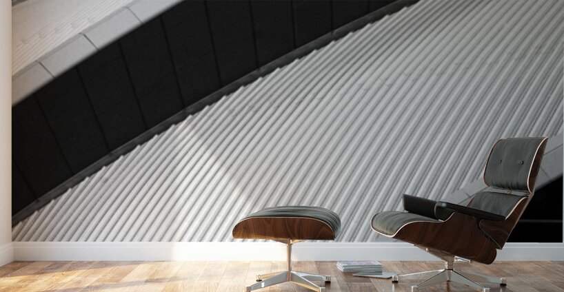 SEC Armadillo Wall Murals