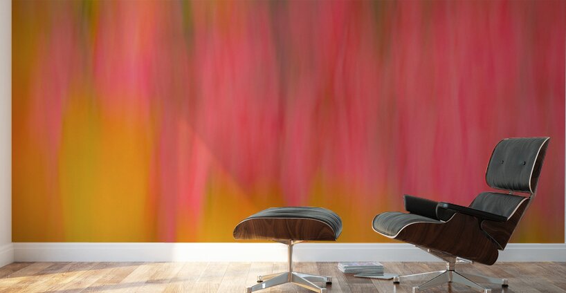 Tulips in Motion Wall Murals
