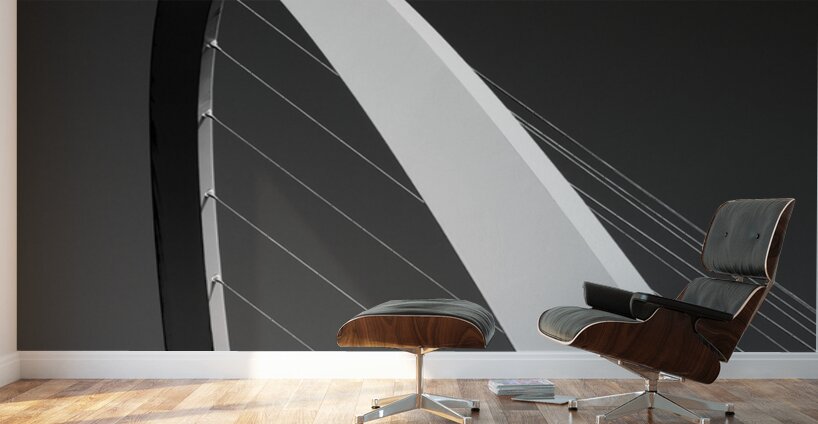 Tension and Grace Wall Murals