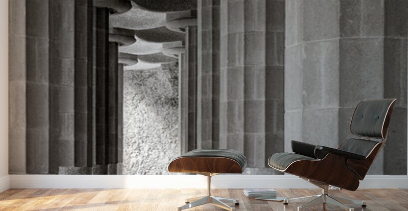 Between Pillars Wall Murals