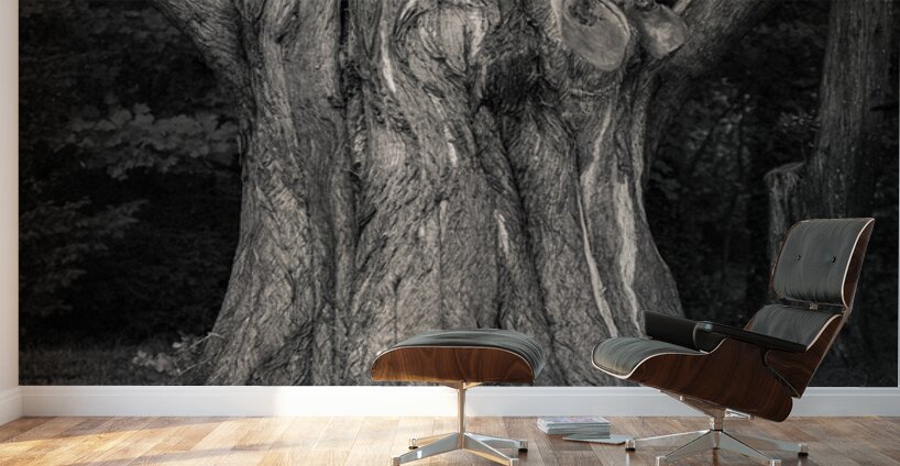 Plas Newydd Tree Wall Murals