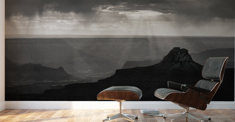 Valley Light Wall Murals