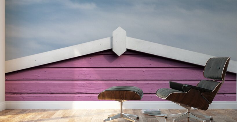 Magenta Divide Wall Murals
