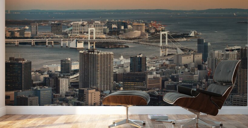 Evening Over Tokyo Bay Wall Murals