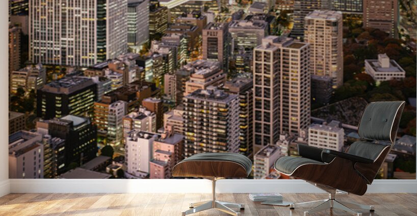 Minato City Wall Murals