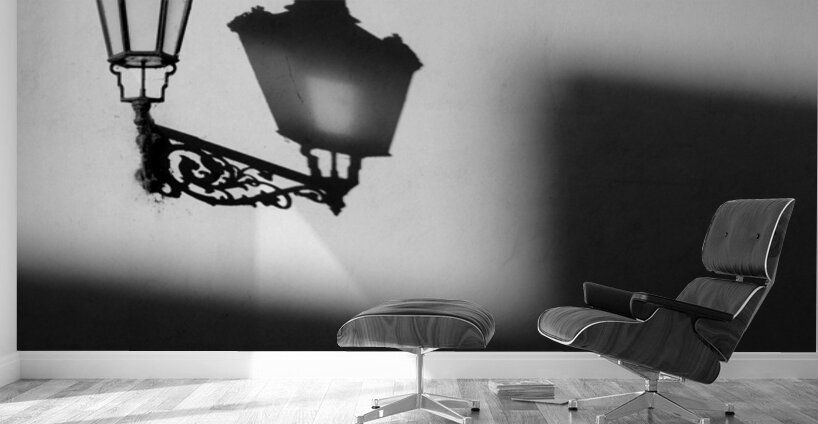 Light Shadow Wall Murals