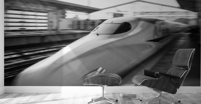 Shinkansen Wall Murals
