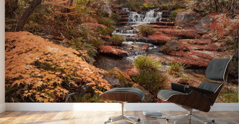 Autumn in Kokoen Garden Wall Murals