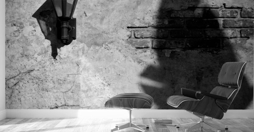 Lamp and Leaf Wall Murals