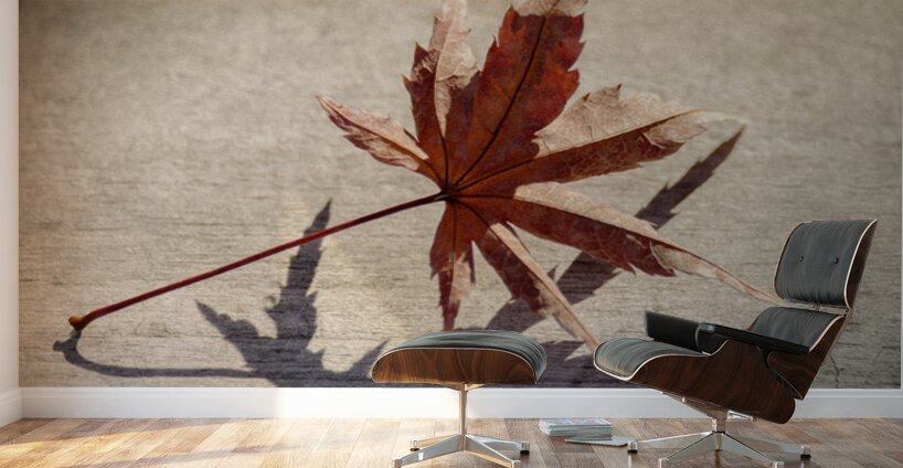 Fallen Beauty Wall Murals