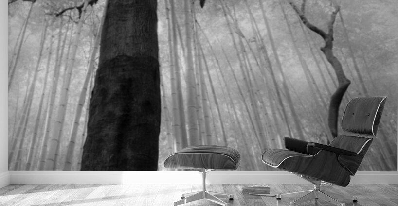 Fractured Rhythm Wall Murals