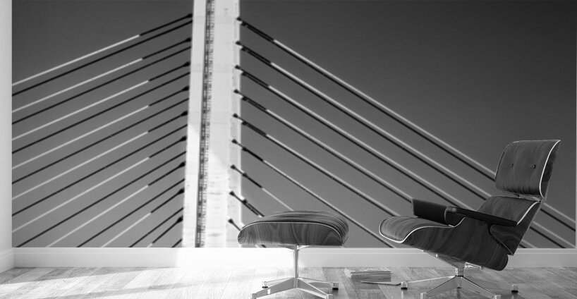 Tempozan Bridge Tower Wall Murals