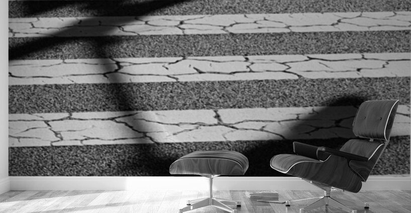 Tokyo Crossing Wall Murals