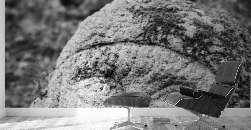 Smiling Rakan Wall Murals