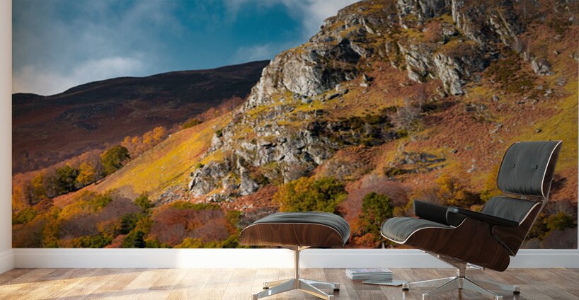 Autumn at Craigower Wall Murals