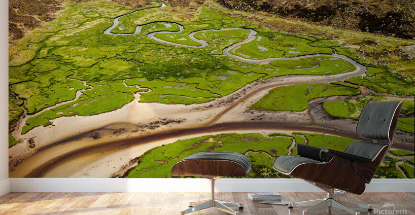 Harris Marshland Wall Murals